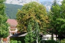 Marko Nötsch im Gailtal