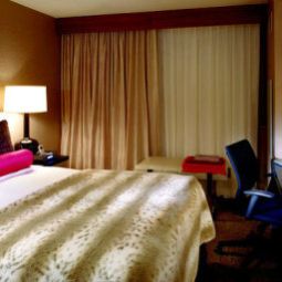 Room PALOMAR WASHINGTON DC A KIMPTON HOTEL Fotos