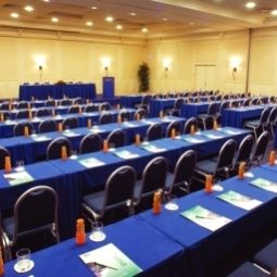 Конференц-зал Holiday Inn ROME - EUR PARCO DEI MEDICI Fotos