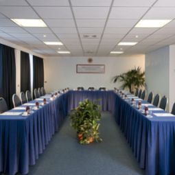Конференц-зал Holiday Inn ROME - EUR PARCO DEI MEDICI Fotos