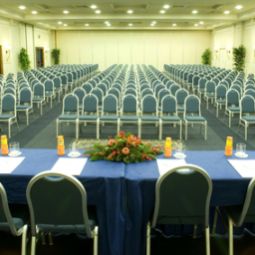 Конференц-зал Holiday Inn ROME - EUR PARCO DEI MEDICI Fotos