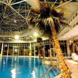 Basen Hilton Birmingham Metropole hotel Fotos