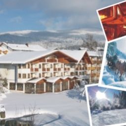 Bayern Hotel Neue Post Bodenmais 