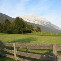 Traube Миминг Affenhausen(Tirol)                 