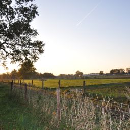 Ambiente Jägerhof Fotos