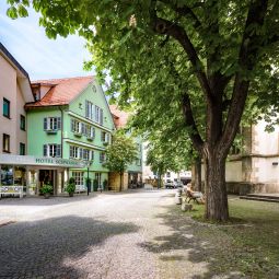 Schwanen Metzingen 