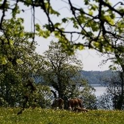  Seeblick Fotos