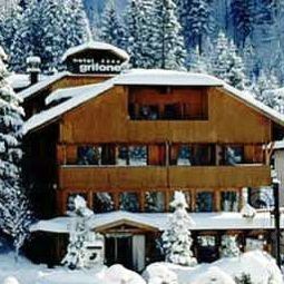Grifone Madonna di Campiglio 