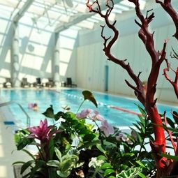 Piscina Starling Geneva Hotel And Conference Center Fotos