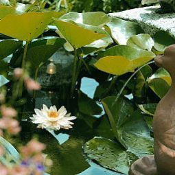 Jardin Zurzacherhof Fotos