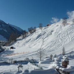 THERESIA GARTENHOTELSUPERIOR & APARTHOTEL Saalbach Hinterglemm