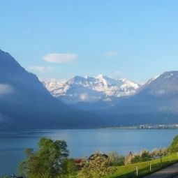 Vue Farb- und Seehotel Wilerbad Fotos