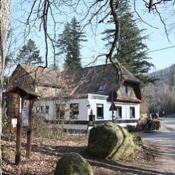 Nachtigall Gernsbach 