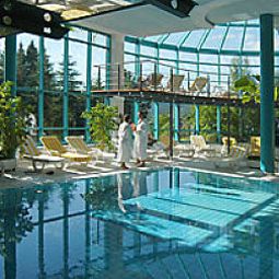 Pool Birkenhof Wellnesshotel Fotos