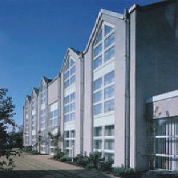 Kaufmann Schifferstadt 