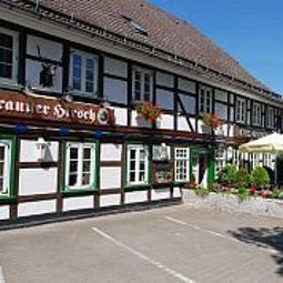 Brauner Hirsch Harzburg, Bad 