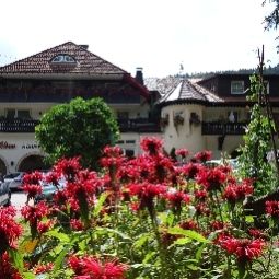 Außenansicht Langenwaldsee Fotos