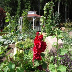 Garten Langenwaldsee Fotos