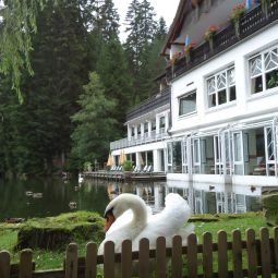Ausblick Langenwaldsee Fotos