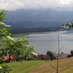 Ausblick Geiger Fotos