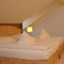 Zimmer Geiger Fotos