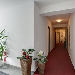  City Hotel Gifhorn Fotos