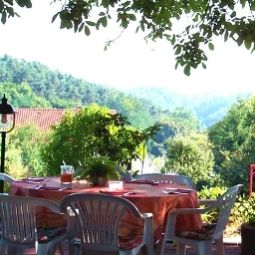 Terrasse Zum Hasselberg Fotos