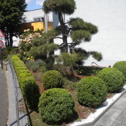 Giardino Lindleinsmühle Fotos