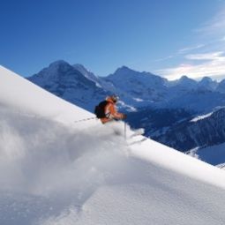  Lauberhorn Nichtraucherhotel Fotos