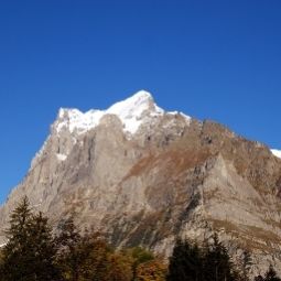 Entorno Lauberhorn Nichtraucherhotel Fotos