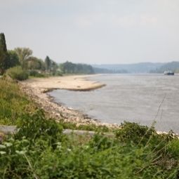 Ausblick Vier Jahreszeiten Rhein-Hotel Fotos