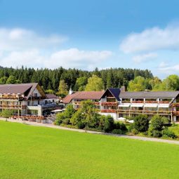 Grüner Wald Freudenstadt Lauterbad
