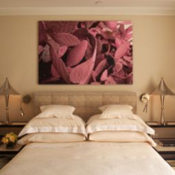 Chambre The Mark Fotos