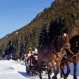 Umgebung Seiblishof Familienhotel Fotos