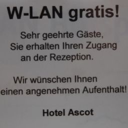  Ascot garni Fotos