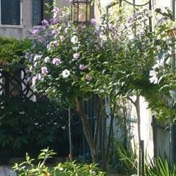 Giardino Gabrielli Sandwirth Fotos