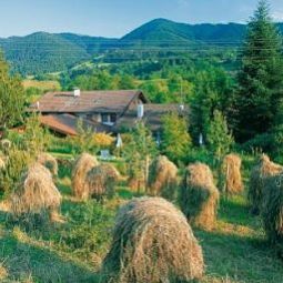 Sebaldus Landhotel Bad Kohlgrub 