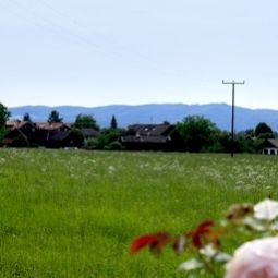 Vue Friedenseiche Fotos