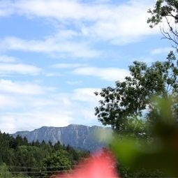 Vue Friedenseiche Fotos