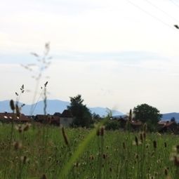 Vue Friedenseiche Fotos
