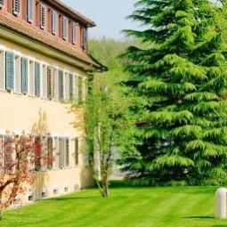 Vista exterior Kurhotel Im Park Fotos