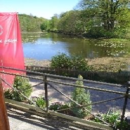 Ausblick Fürst Bismarck Mühle Fotos