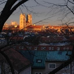 Вид Prinz Fotos