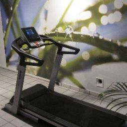 Fitness room Holiday Inn City - West Fotos
