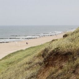  Strandhörn Fotos