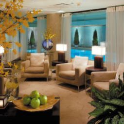 Zona Wellness a Four Seasons Hotel RitzCarlton Fotos