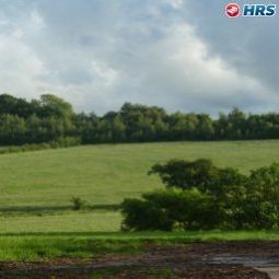 Окрестности Ringwood Hall Fotos