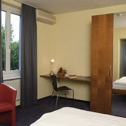 Zimmer Bären Fotos