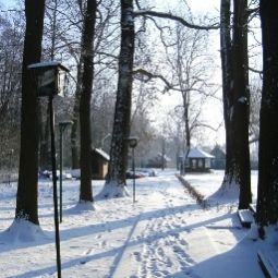 Vue extérieure Waldhotel Eiche Ringhotel Fotos