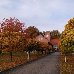 Vue extérieure Waldhotel Eiche Ringhotel Fotos